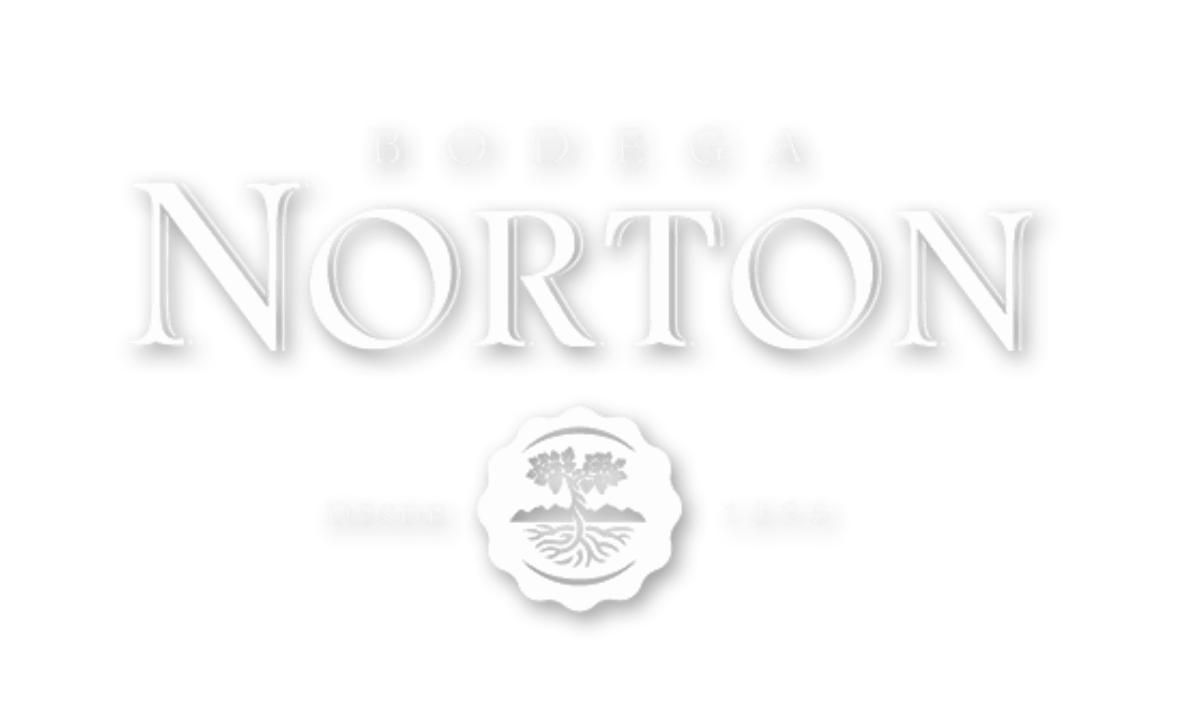 NORTON